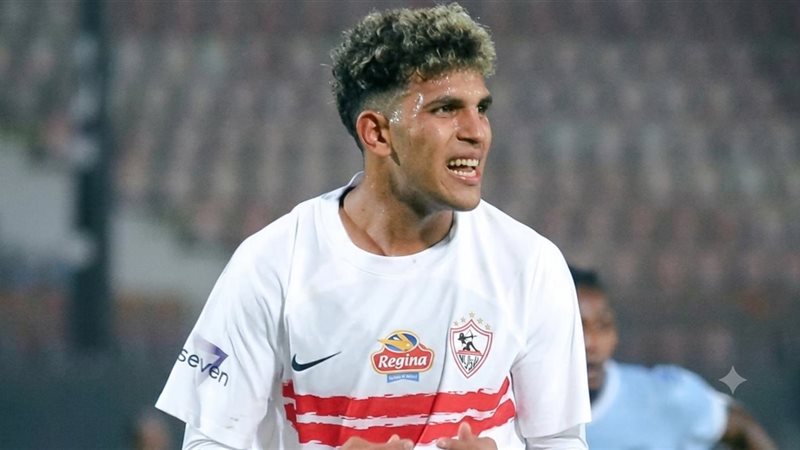  محمد السيد