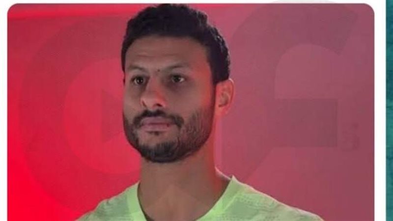 محمد الشناوي 