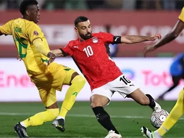 تاريخ مواجهات مصر وجنوب أفريقيا 
