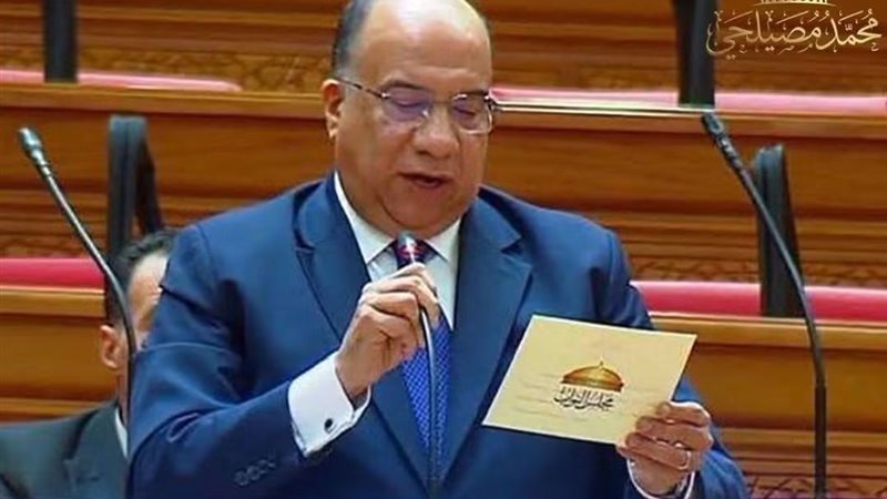محمد مصيلحي عضو مجلس