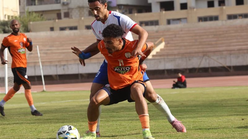 دوري المحترفين 